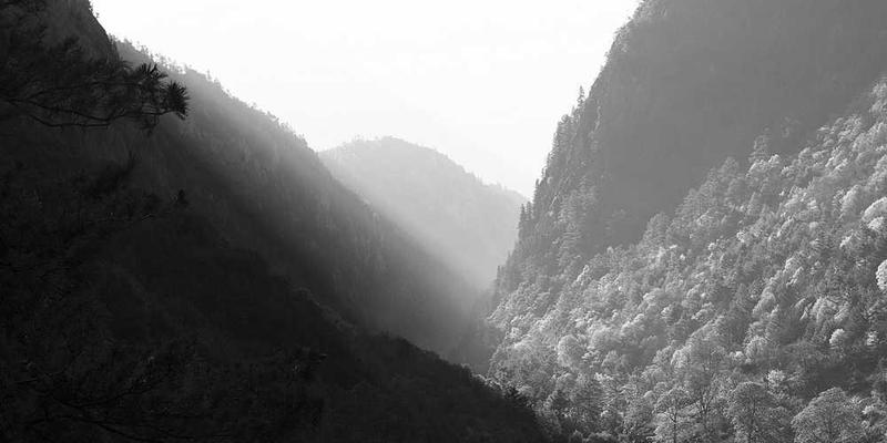 霸王别姬