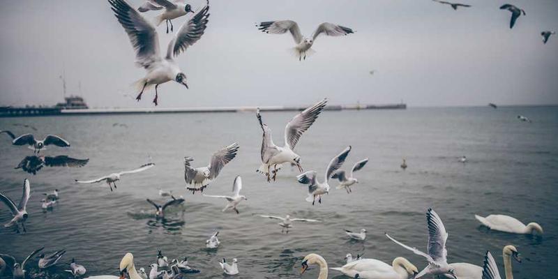 蜘蛛侠：英雄归来